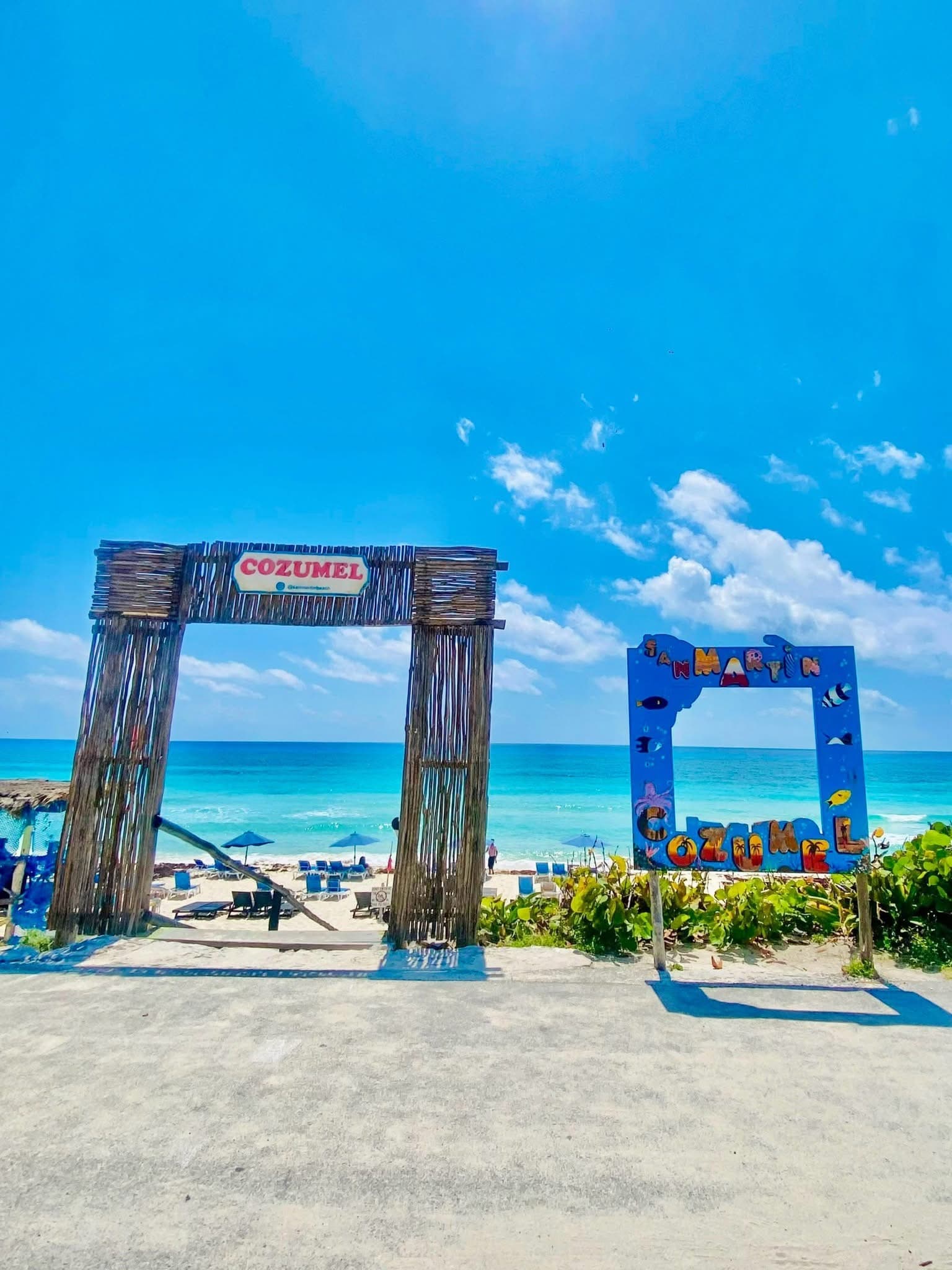 Snorkeler exploring vibrant coral reef in crystal clear waters of Cozumel with tropical fish swimming nearby